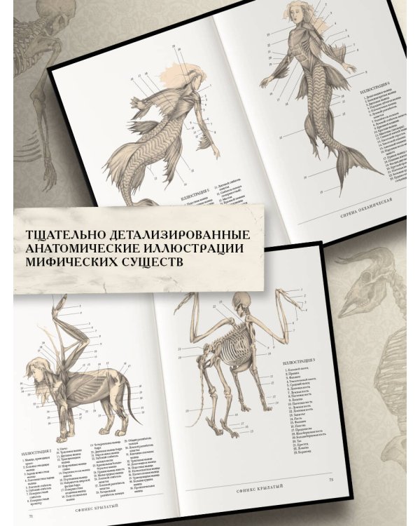 Воскреситель, или Анатомия фантастических существ: Утерянный труд доктора Спенсера Блэка
