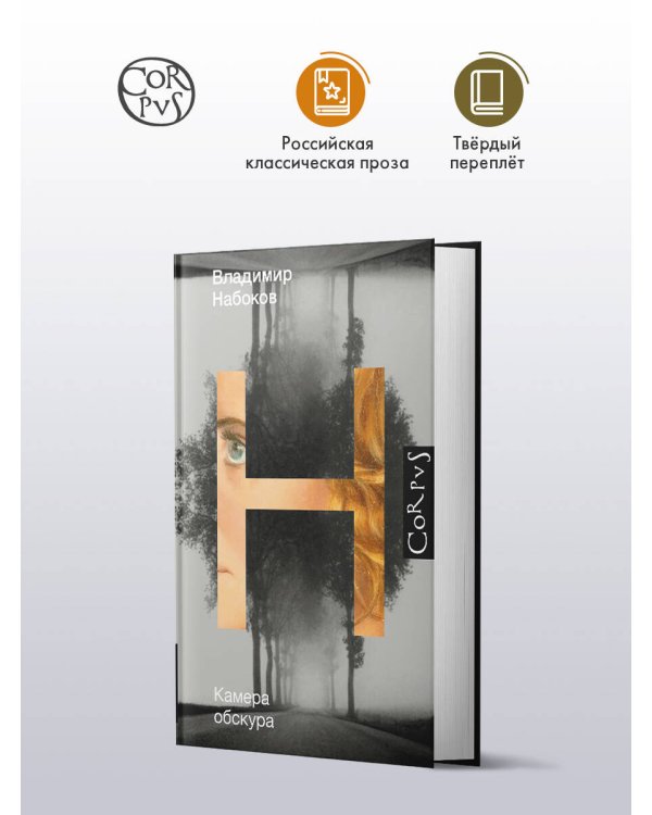 Камера обскура