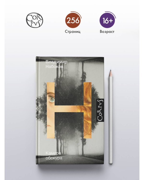 Камера обскура