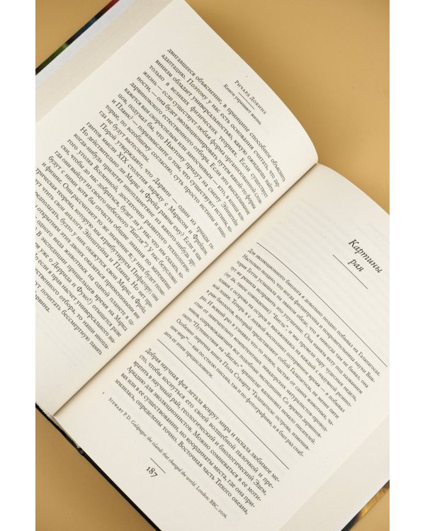 Книги украшают жизнь