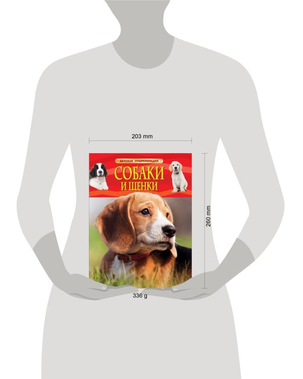 Собаки и щенки