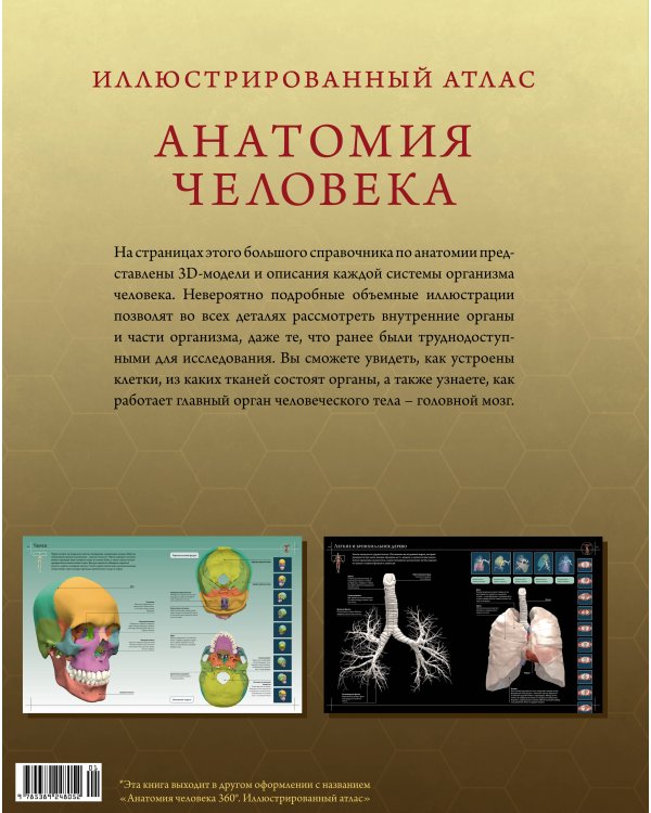 Иллюстрированный атлас. Анатомия человека