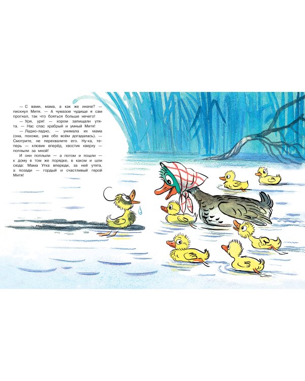 Утёнок Митя