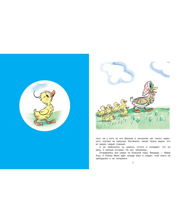 Утёнок Митя