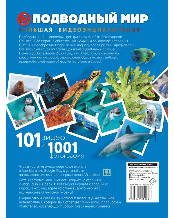 Подводный мир. 101 видео и 1001 фотография