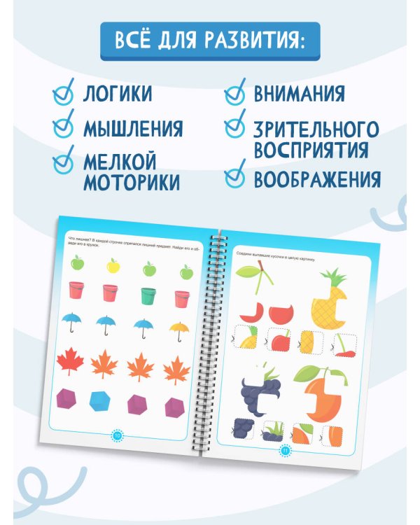 Пиши-стирай 2-4 года