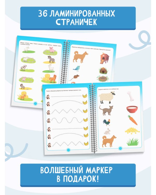 Пиши-стирай 2-4 года