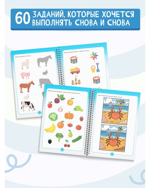 Пиши-стирай 2-4 года