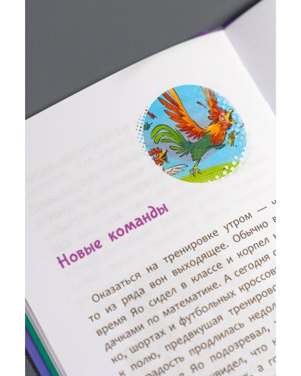 Академия футбола. Отличный день рождения