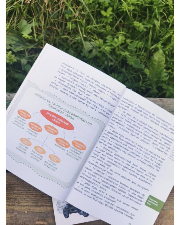 Наш русский язык. Детская энциклопедия (Чевостик) (Paperback)