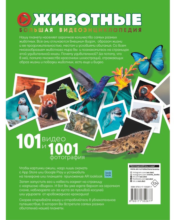 Животные. 101 видео и 1001 фотография