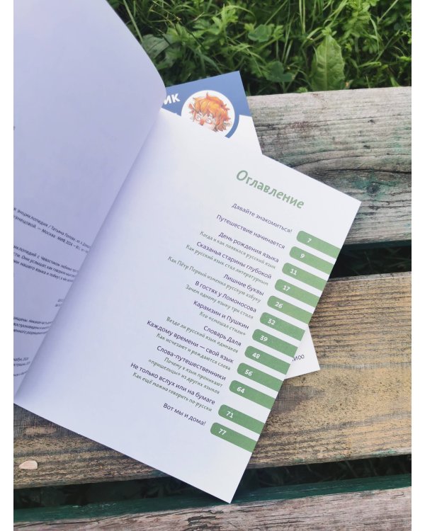 Наш русский язык. Детская энциклопедия (Чевостик) (Paperback)