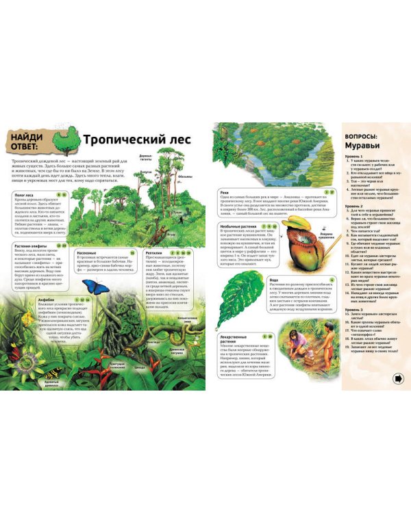 Интерактивная энциклопедия в вопросах и ответах