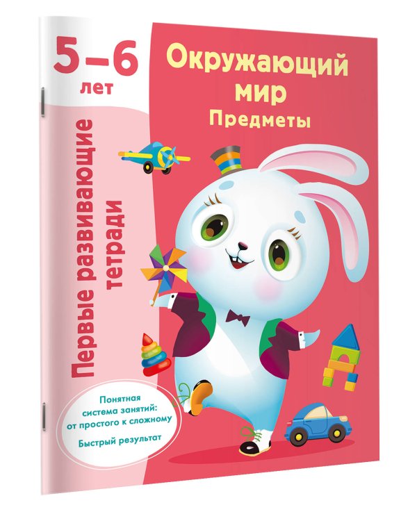 Окружающий мир. Предметы. 5-6 лет