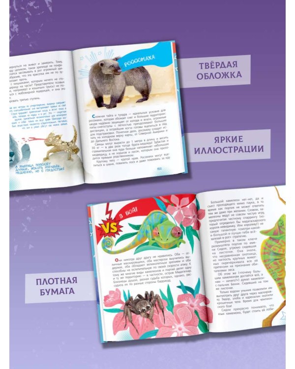 Животные-супергерои