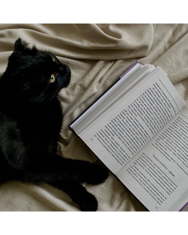 Переходи на темную сторону! Как превратить запретные желания подсознания в источник внутренней Силы