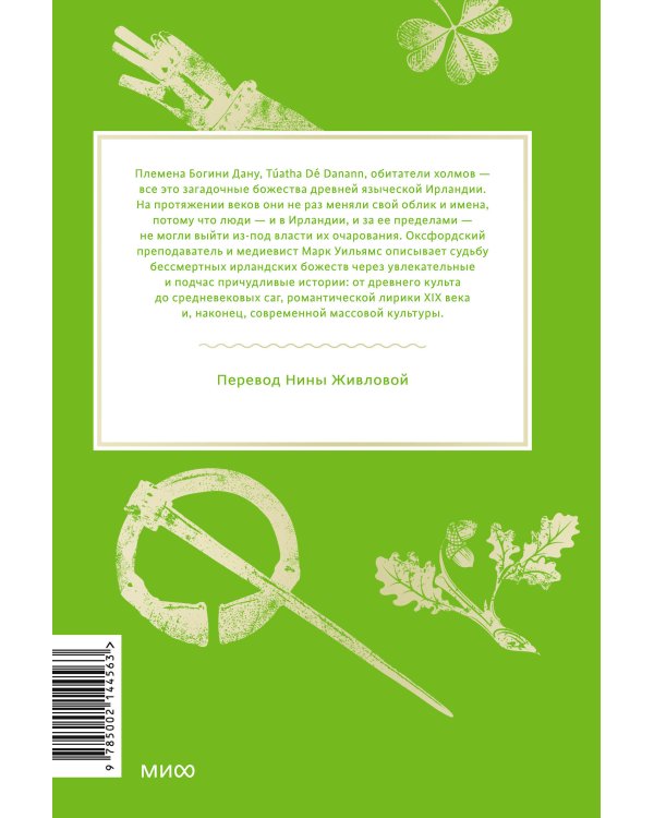 Ирландские мифы. От Племен Богини Дану и Кром Круаха до «кельтских сумерек» и Самайна
