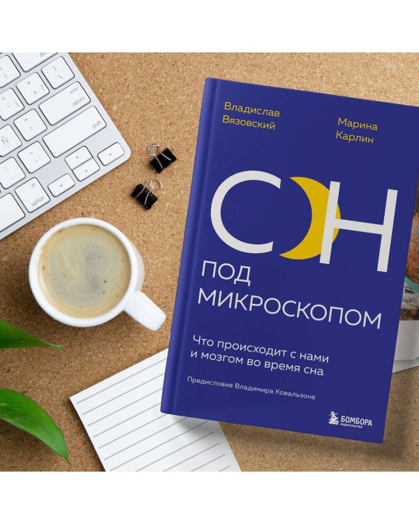 Сон под микроскопом. Что происходит с нами и мозгом во время сна