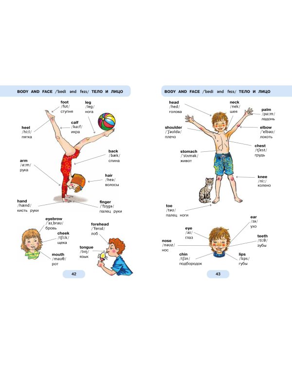 620 первых английских слов в иллюстрациях