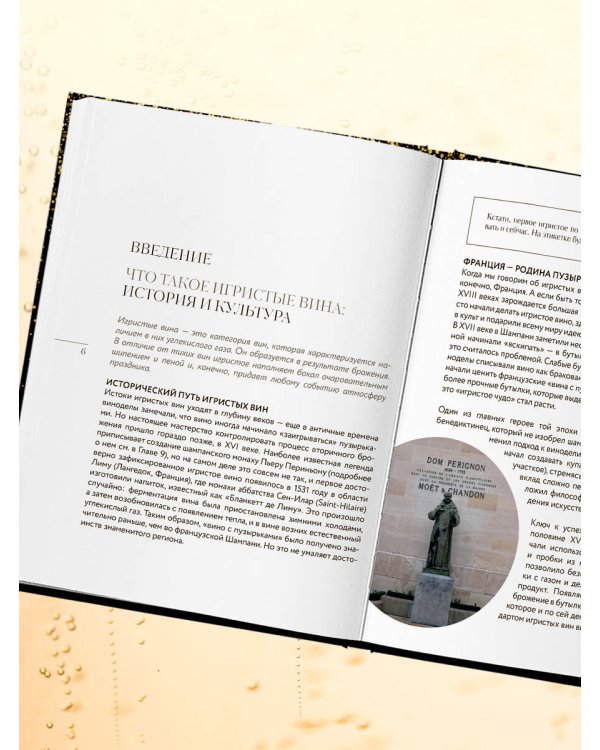 Игристое. От просекко и кавы до шампанского. История, регионы, выбор