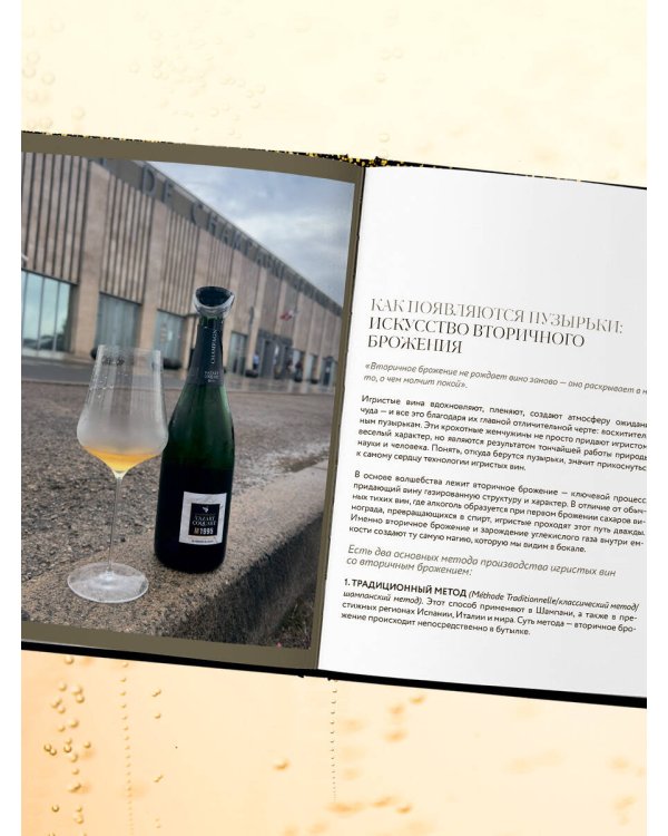 Игристое. От просекко и кавы до шампанского. История, регионы, выбор