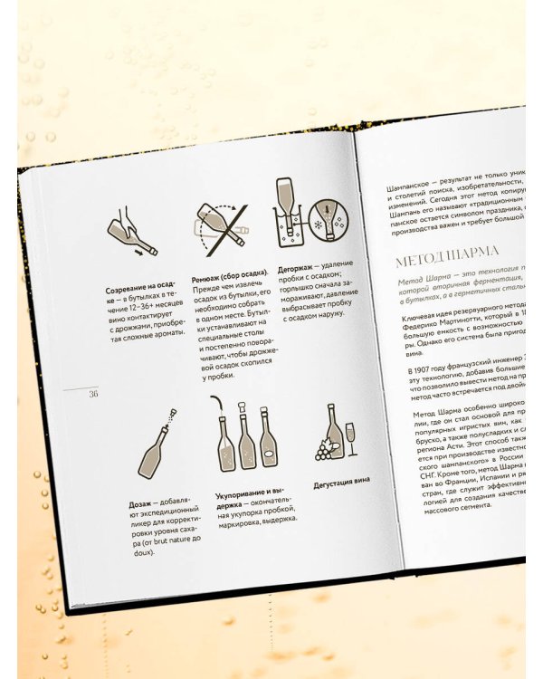 Игристое. От просекко и кавы до шампанского. История, регионы, выбор