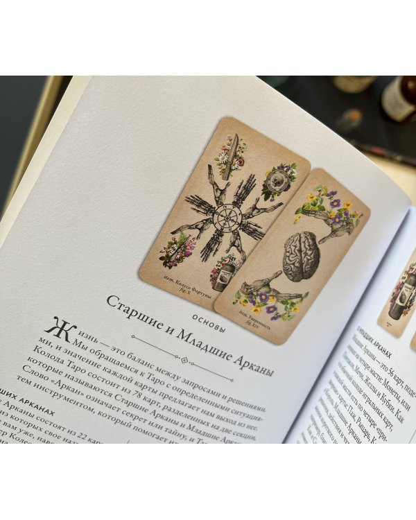 Antique Anatomy Tarot. Таро античной анатомии
