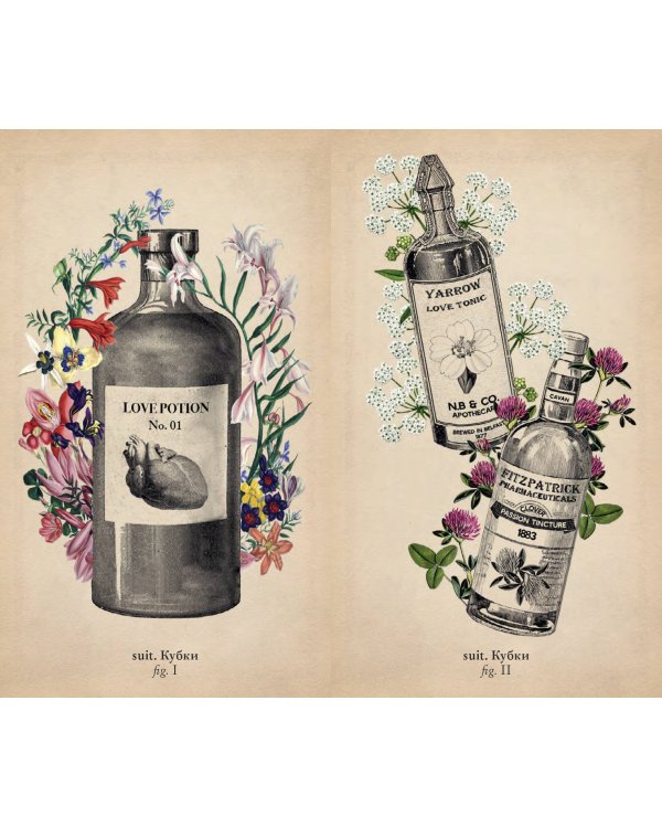 Antique Anatomy Tarot. Таро античной анатомии