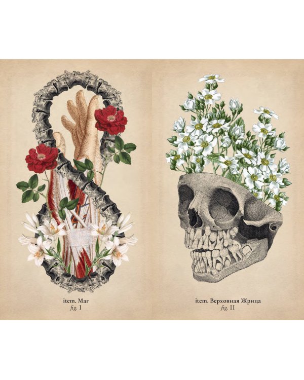 Antique Anatomy Tarot. Таро античной анатомии