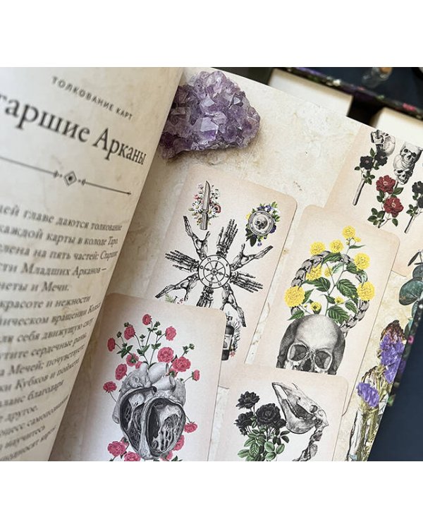 Antique Anatomy Tarot. Таро античной анатомии