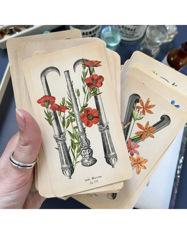 Antique Anatomy Tarot. Таро античной анатомии