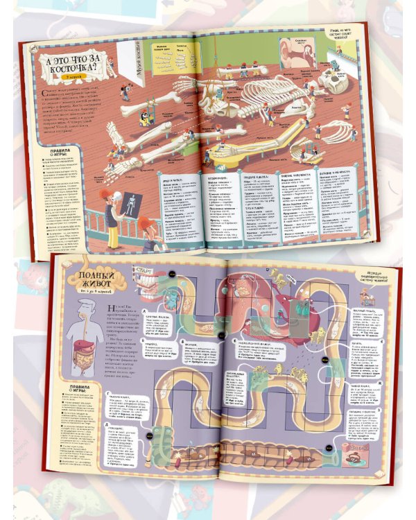 Тело человека