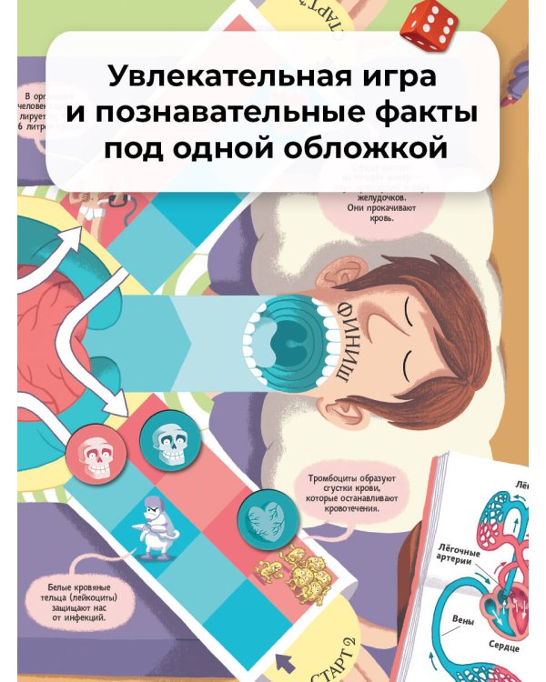 Тело человека