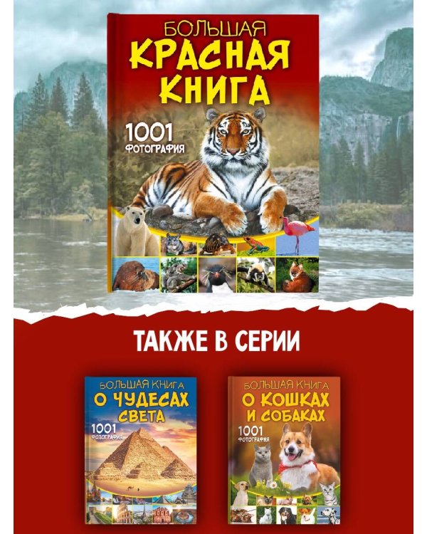 Большая красная книга. 1001 фотография