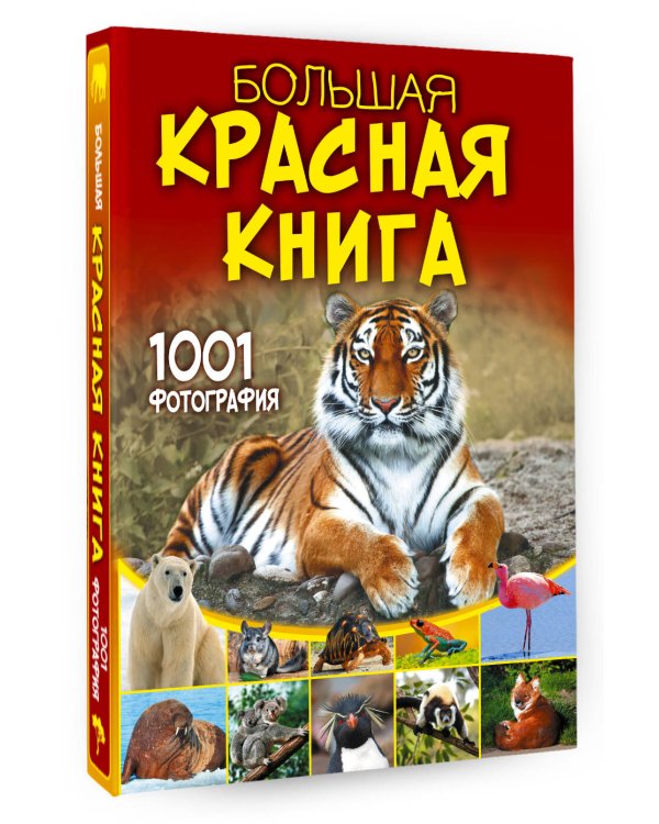 Большая красная книга. 1001 фотография