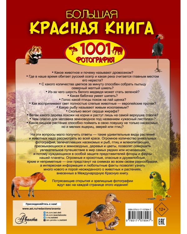 Большая красная книга. 1001 фотография