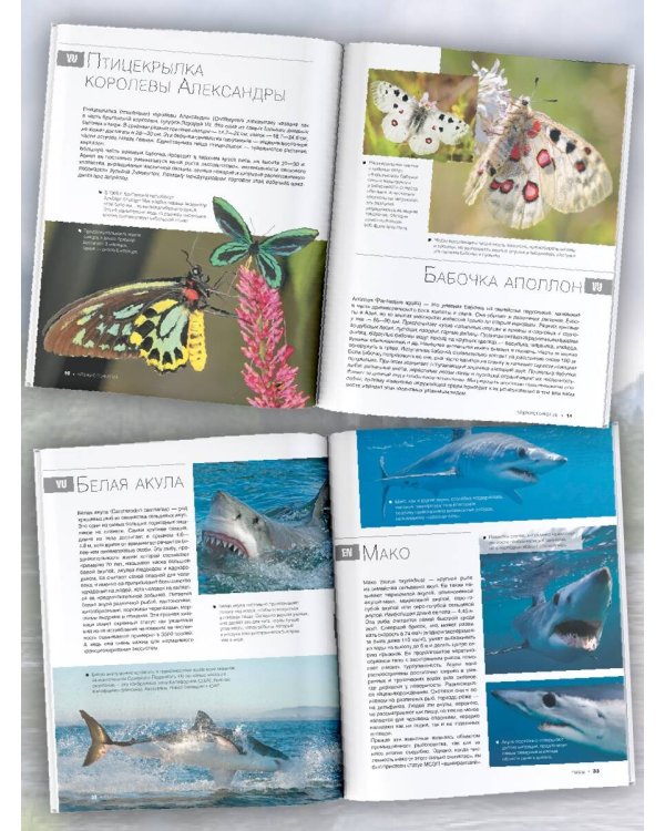 Большая красная книга. 1001 фотография