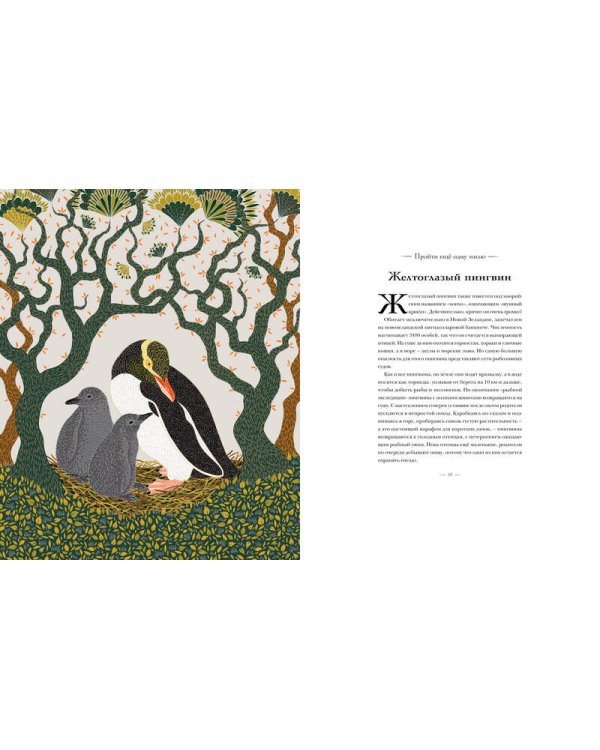 Книга исчезающих животных для неравнодушных сердец