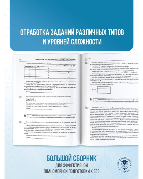 ЕГЭ-2025. Информатика. 20 тренировочных вариантов экзаменационных работ для подготовки к единому государственному экзамену
