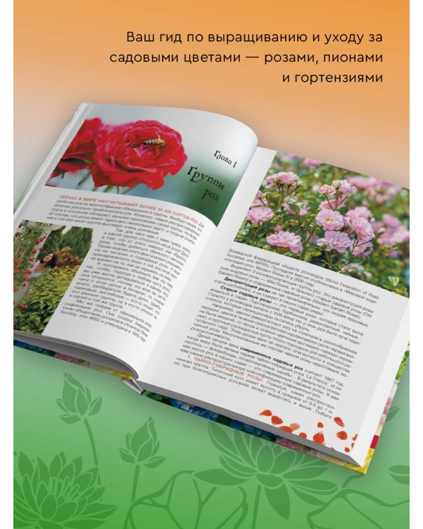 Сад любимых цветов с Ларисой Кочелаевой