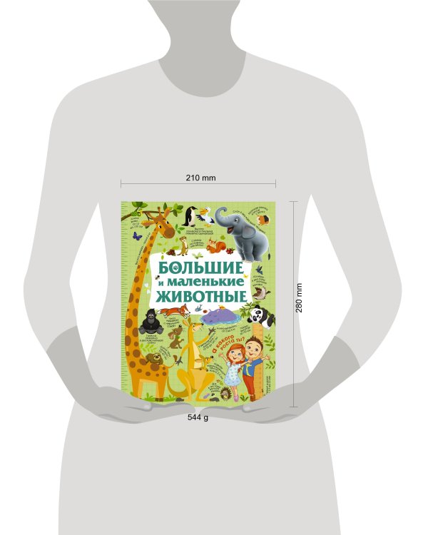 Большие и маленькие животные