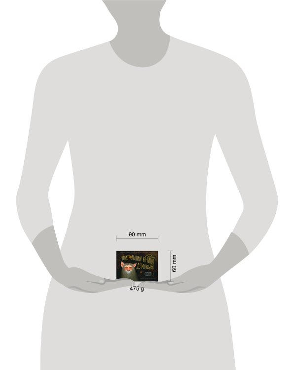 Подпольная книга домовых. Домовые Западной Европы