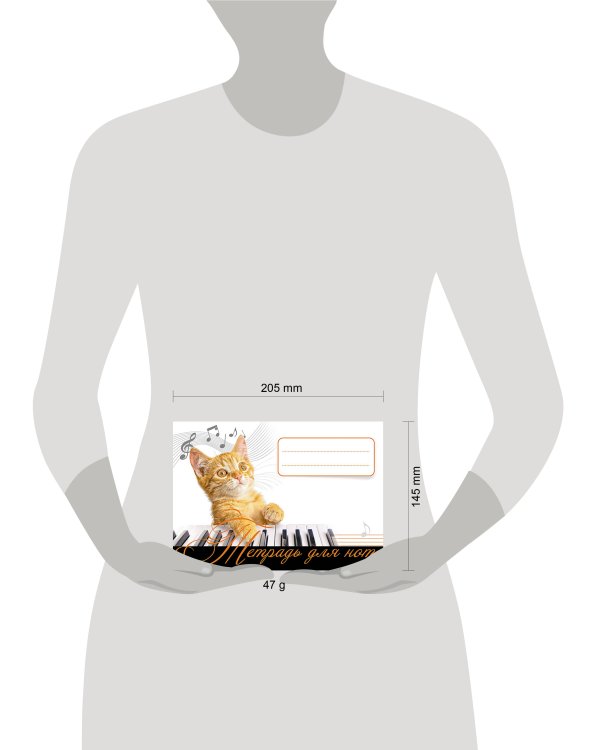 Тетрадь для нот. Рыжий кот