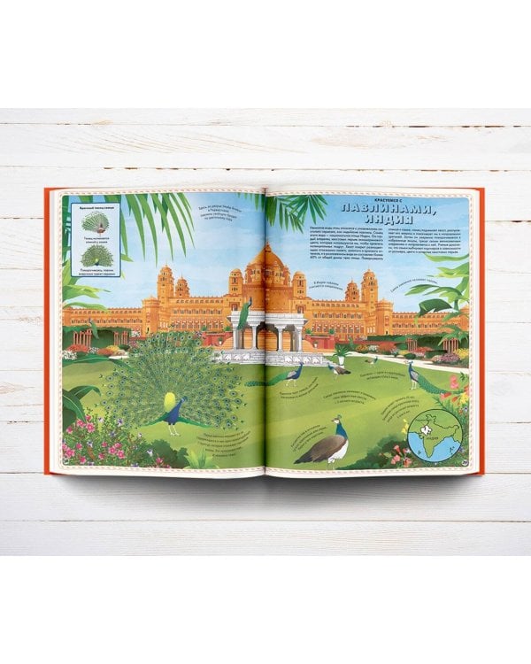 Большой атлас животных в картинках