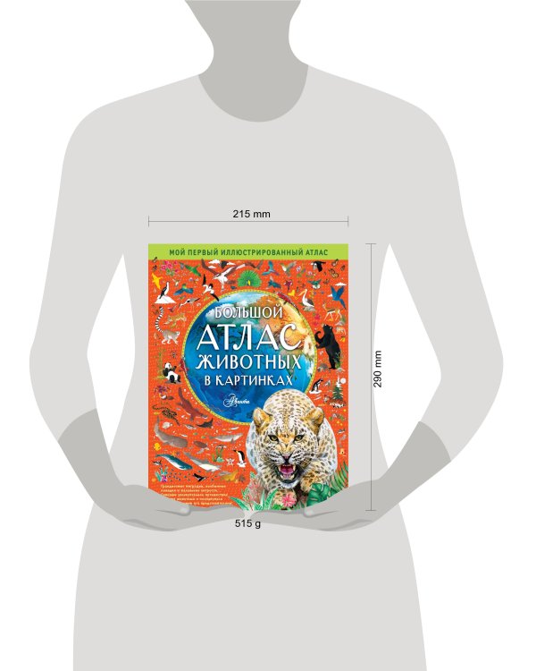 Большой атлас животных в картинках