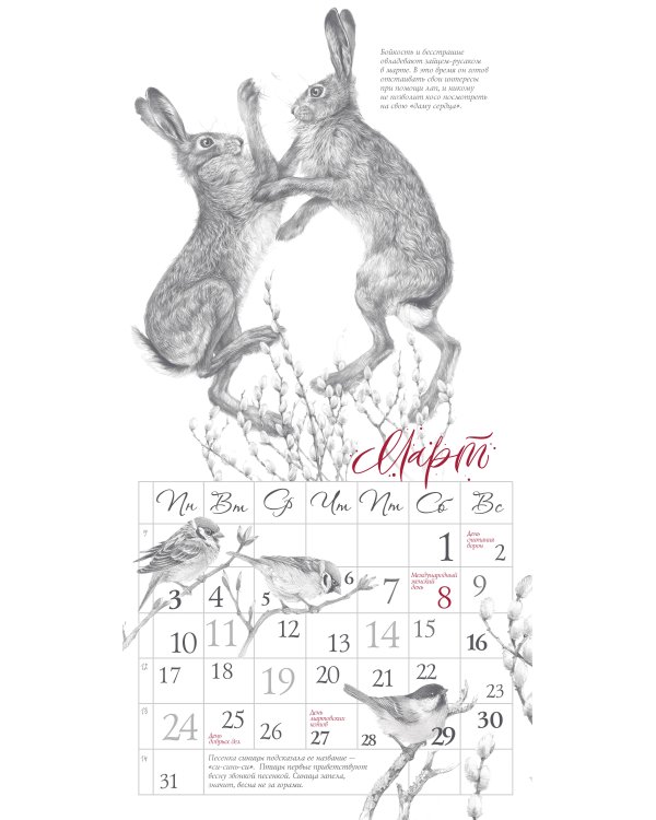 Арт-календарь. Природа в серебре 2025 год