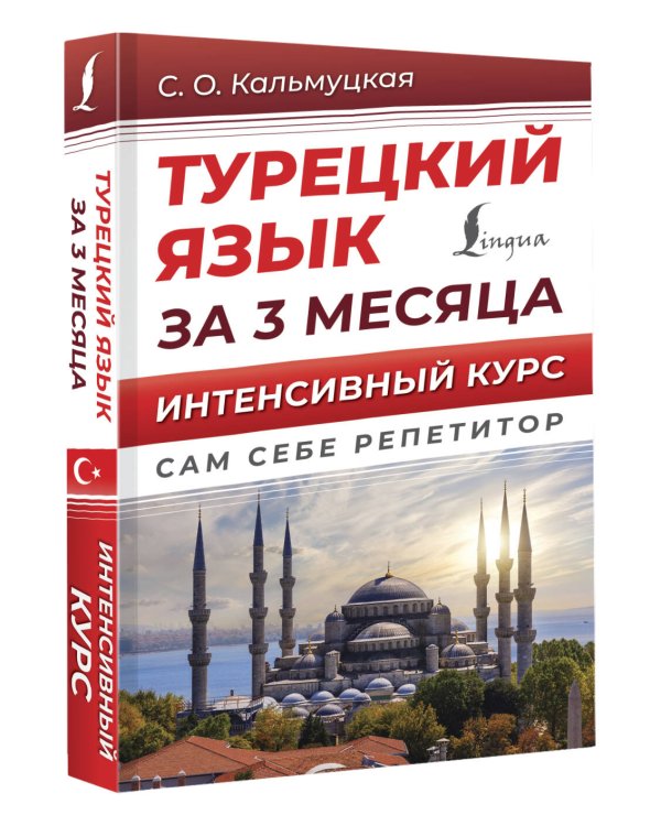 Турецкий язык за 3 месяца. Интенсивный курс