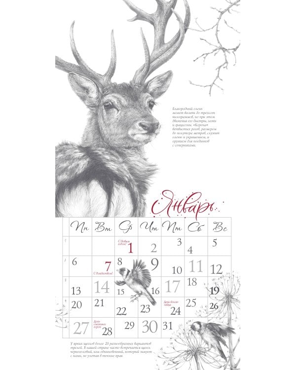 Арт-календарь. Природа в серебре 2025 год