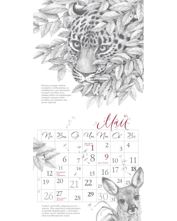 Арт-календарь. Природа в серебре 2025 год