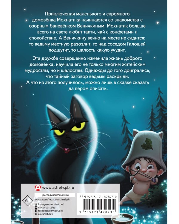 Приключения Мохнатика и Веничкина